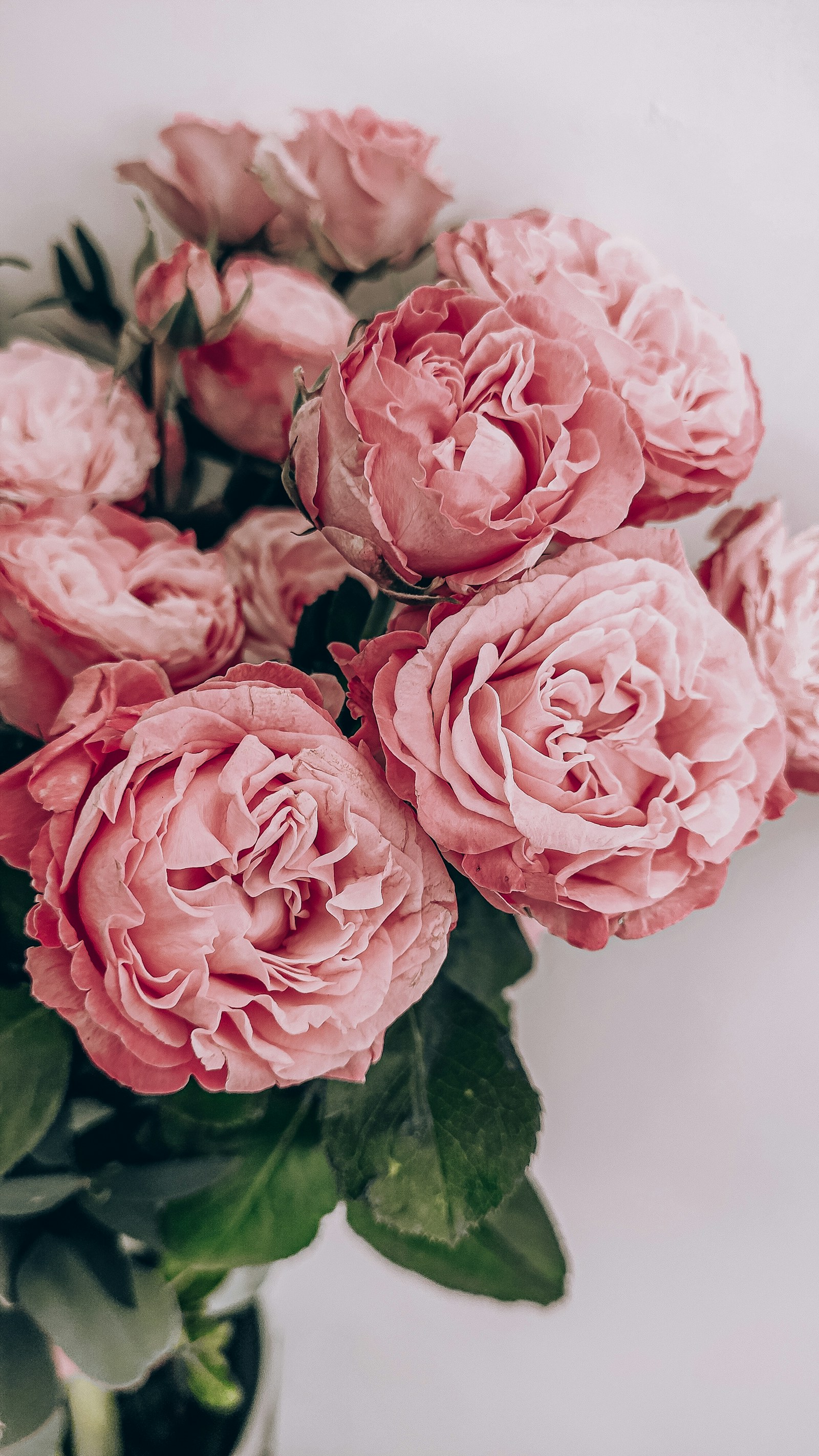 Fleuriste : créer votre vitrine en ligne et comptoir floral