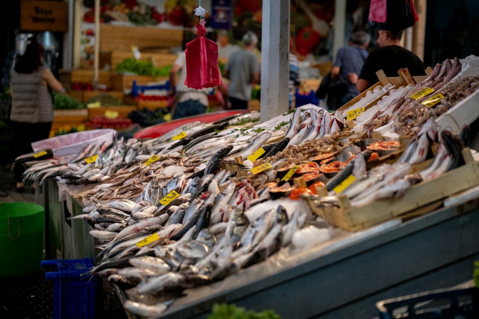 Poissonnerie : créer un comptoir vitrine pour votre commerce